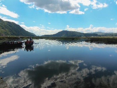 微信"花呗账号"受关注：分付功能使用指南与信用提醒