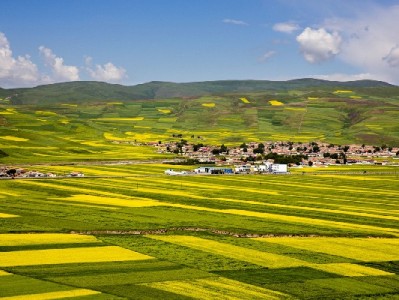 花呗的“温柔陷阱”：年轻人需警惕的四大潜在风险