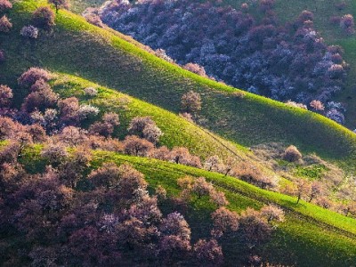 羊小咩有额度怎么提现？3步操作+注意事项全解析