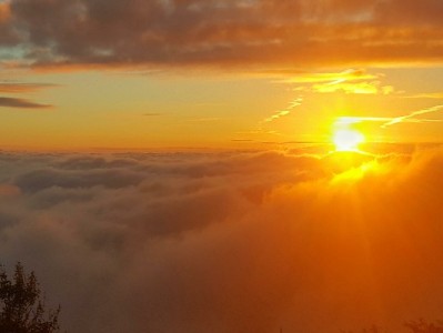 用银行卡开通花呗享10%福利？安出掌柜助你便捷又安心