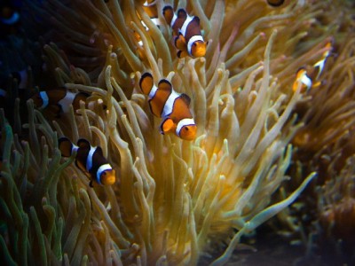 抖音月付收商家利息吗？手续费规则解析及“出财小神”降本攻略