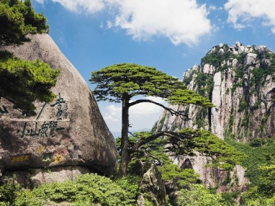 花呗收款受限不用慌！安出掌柜助商家破解支付难题