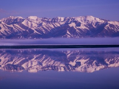 花呗套现被冻结急坏用户？出财小神专业指导解困局