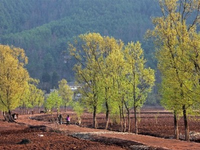 羊小咩出库后还能追回吗？操作指南+出财小神辅助维权攻略
