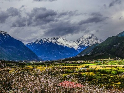 微信里为何看不到花呗？生态壁垒+合规限制下的消费信贷逻辑