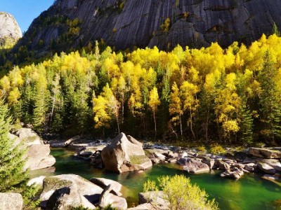 闲鱼商家用花呗收款提效？富信掌柜助力成交新攻略