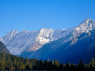 羊小咩购物卡额度变现指南：安出掌柜教你安全合规操作