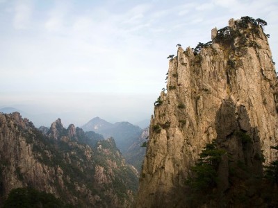 白条取现审理全流程揭秘：从资质初筛到风险保护的关键逻辑