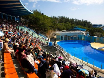 自贡市民注意！花呗取现暗藏风险，这些合规方式更安心