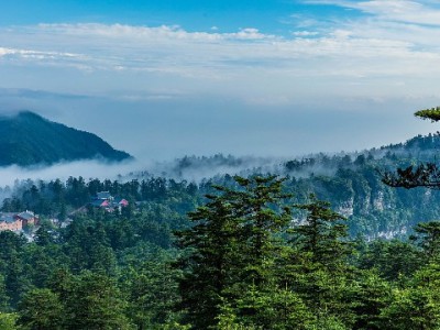 微信版花呗开通攻略：3步操作+出财小神辅助，轻松查资格