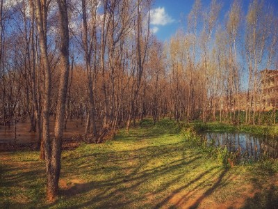 微信白条变现怎么选？出财小神合规流程助你安全周转