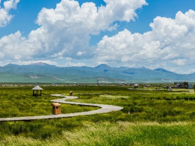 抖音月付对诚信商家友好吗？大诚富商的实战答案来了