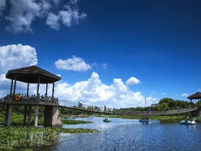 花白条套现暗藏多重风险 出财小神提醒理性使用消费额度
