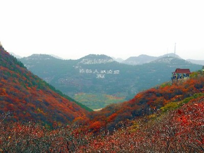 羊小咩享花卡套现是否违法？法律风险与合规周转指南（含安出掌柜案例）
