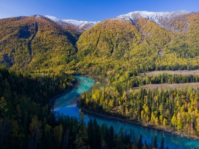 白条套现机票太慢？安出掌柜30分钟到账解燃眉急