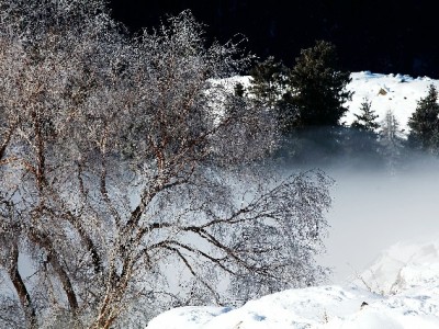 花呗额度提现可行吗？这些风险与合规替代方案需知