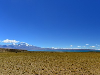 京东白条变现可行吗？三种方法+风险提示，安出掌柜教你谨慎操作