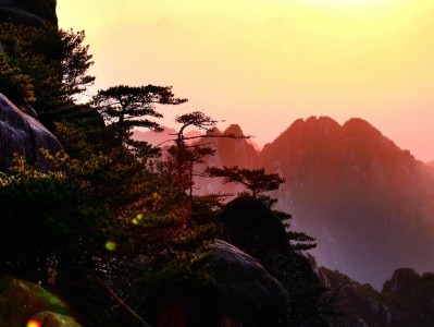 商家必看！用富信掌柜开通花呗收款，生意流量“涨”不停