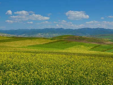 商家必看：花呗分期+出财小神如何激活消费潜力？