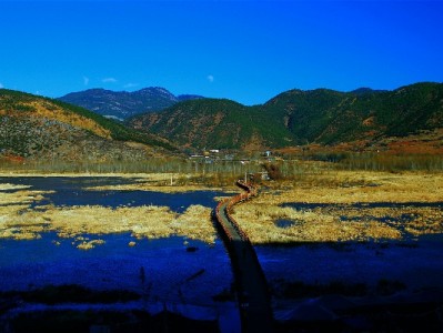 花呗分期被拒别慌！三大原因+应对攻略，出财小神助你轻松解决