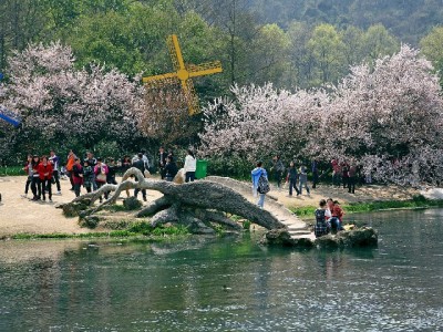 白条套现安全吗？这些风险与合规替代方案需知晓