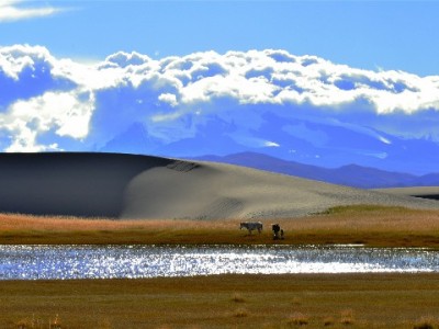花呗收款清退困扰小微商家？出财小神助合规转型重获支付力