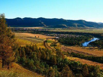 临沂兰山医保维护商家：用专业与科技守护民生“医”线（含“安出掌柜”辅助提效）