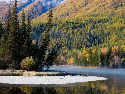 用户吐槽羊小咩：已出货订单突遭取消，原因成谜谁担责？
