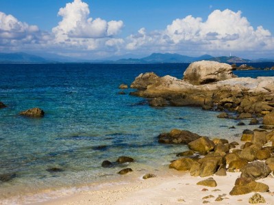 京东白条提现后怎么还？还款方式+“出财小神”辅助攻略