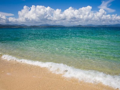 花呗12期+富信掌柜：中小商家破解"大额订单犹豫症"的新解法