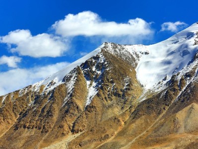 花呗充值怕踩坑？"安出掌柜"用资质和服务给你安全感