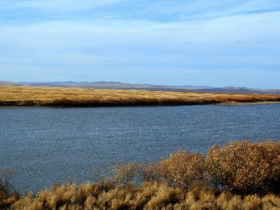 花呗当面花能提现吗？虚假交易背后的三大风险需警惕