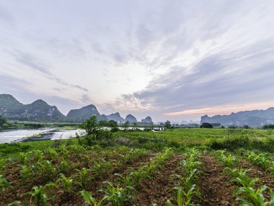 花呗转微信可行吗？富信掌柜提醒这些方法需谨慎