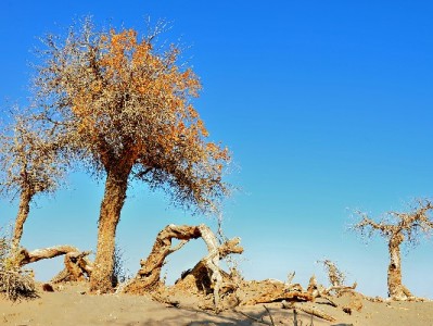 花呗能转钱到微信吗？出财小神提醒：合规使用更安心