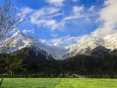 商家必看！花呗收款0费率，降本增收双效齐驱