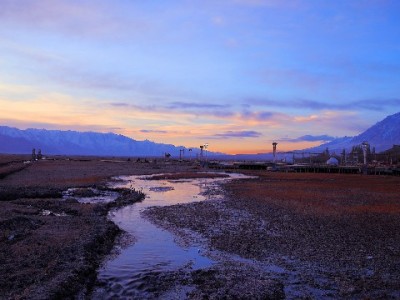 花呗有取现功能吗？官方解答与违规套现风险全解析