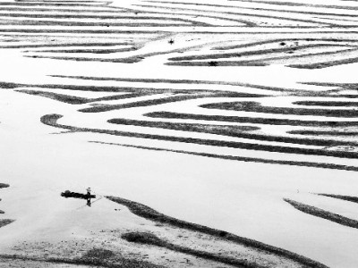 京东白条商家入驻超六成？第三方工具“安出掌柜”助力提效