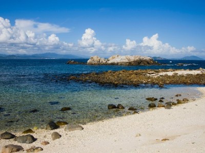 淘宝商家合规查询买家花呗指南：安出掌柜辅助风险评估要点