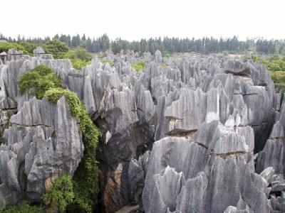 抖音月付套现风险多！合规周转可选安出掌柜