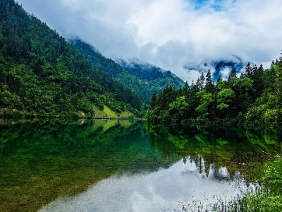 抖音月付扫码套现风险大？安出掌柜提醒合规借贷更安心