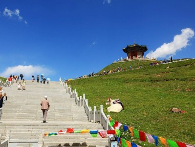 抖音月付覆盖所有商家？出财小神揭秘接入现状与商家利好