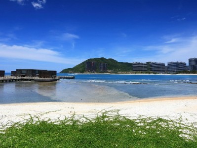 手把手教你用银行卡还花呗：操作步骤+注意事项全解析