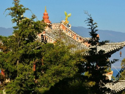 附近白条兑现商家怎么找？3个要点帮你避开诈骗陷阱