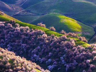 花呗当面花能提现？这些风险和误区你必须知道