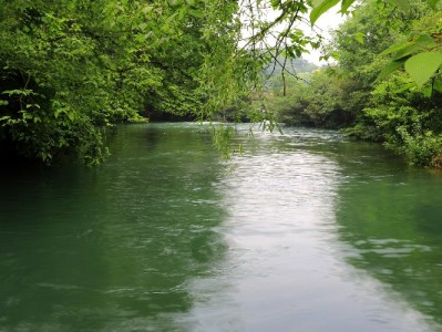 警惕“花呗套现”陷阱：多重风险暗藏，信用与资金安全需谨慎