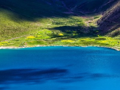 白条取现还白条可行吗？“出财小神”揭秘背后的成本与风险