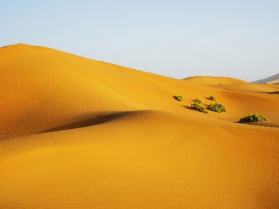 抖音月付商家签约全流程解析 安出掌柜助力高效开通