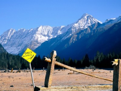 羊小咩服务器异常引关注？技术伙伴出财小神紧急协同修复