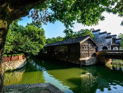 DNF羊小咩VS年套宠物：零氪党和主C玩家该怎么选？