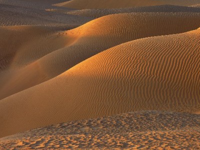 抖音月付套现需谨慎！出财小神解析最简单操作与风险提示